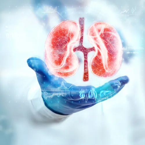 Atención inmediata en Nefrología en CDMX con Dr. Juan Carlos Hernández Díaz