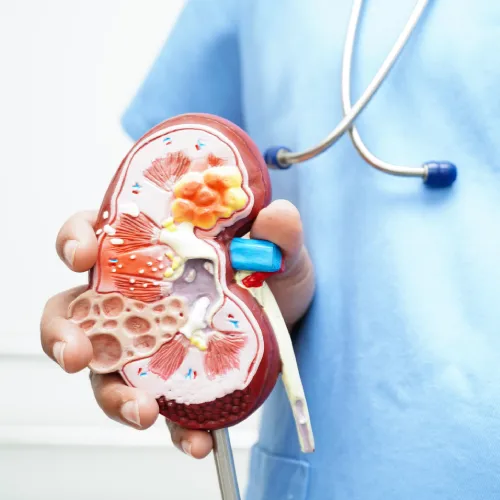 Consulta médica nefrológica en CDMX con Dr. Juan Carlos Hernández Díaz