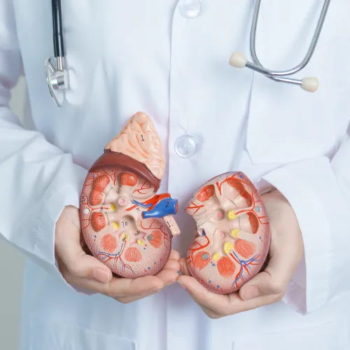 Nefrólogo especialista en insuficiencia renal CDMX con Dr. Juan Carlos Hernández Díaz